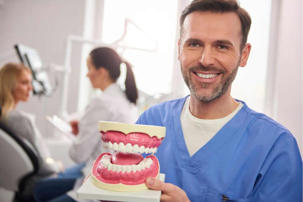 dentist holding dental model